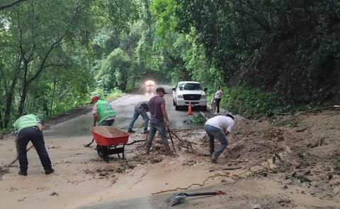 Avanza JEC en limpieza y apertura de rutas 

