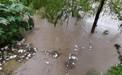 Lluvias favorecen reproducción de vectores de enfermedades
