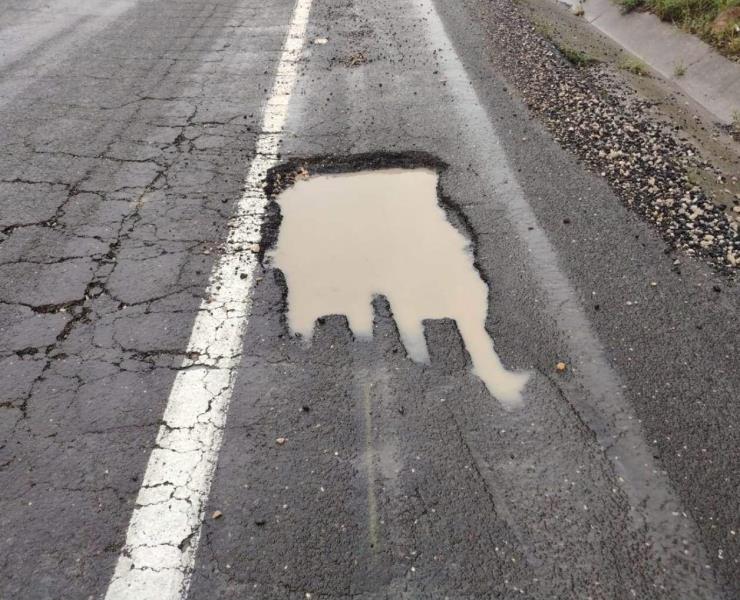Enorme bache provocó choque
