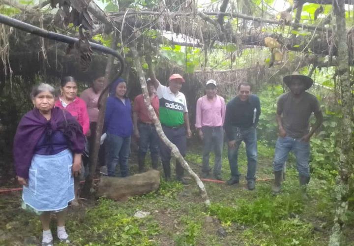 Fortalece Gobierno Municipal al sector agrícola 
