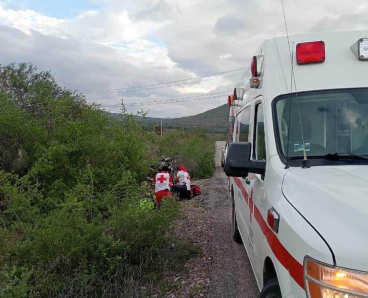 Grave tras chocar contra una vaca
