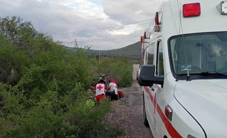 Grave tras chocar contra una vaca