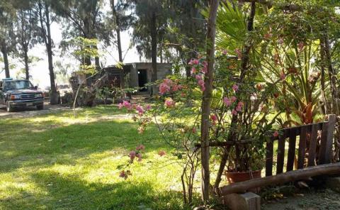 "BOQUETAZO" EN UNA FINCA
