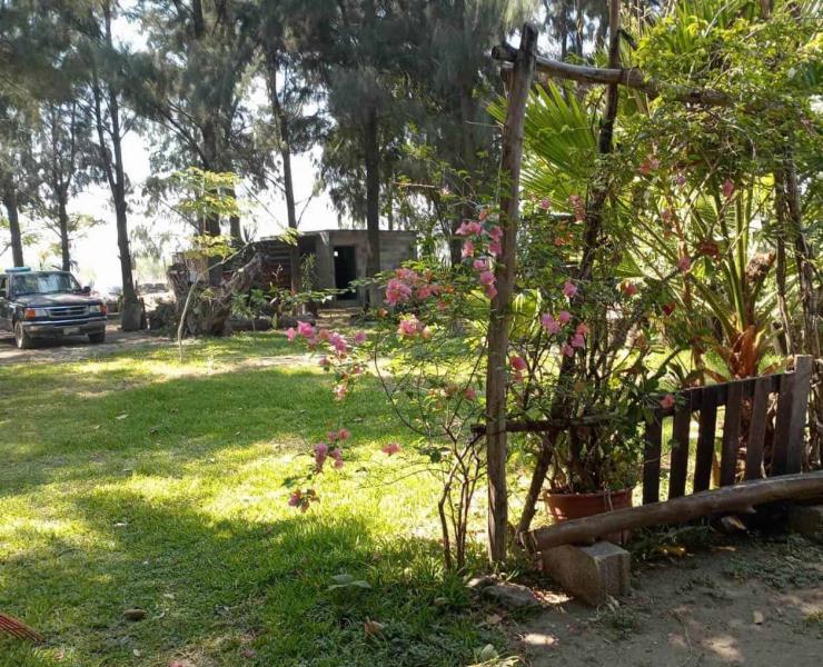 "BOQUETAZO" EN UNA FINCA
