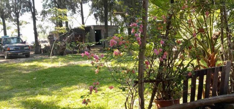 "BOQUETAZO" EN UNA FINCA "BOQUETAZO" EN UNA FINCA