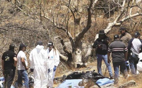 Hallaron 169 bolsas con restos humanos