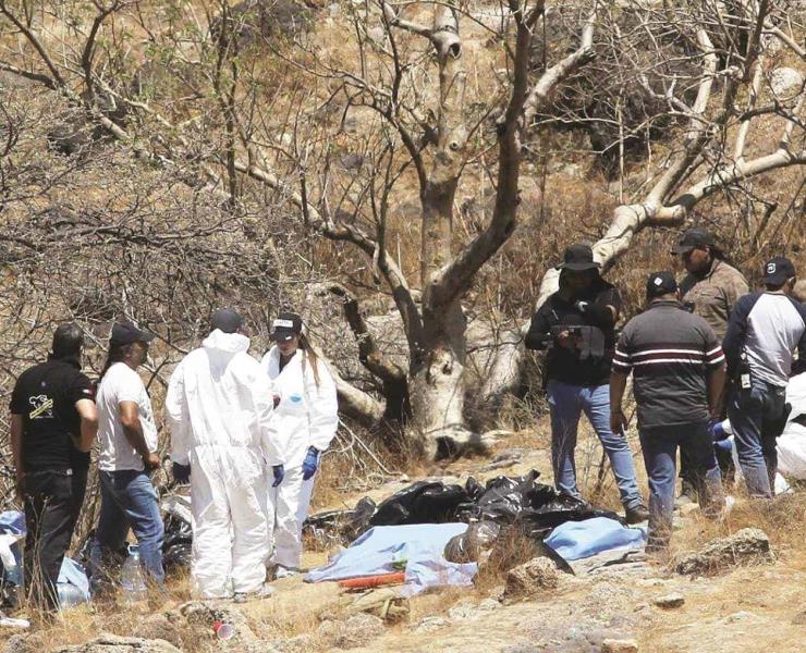 Hallaron 169 bolsas con restos humanos