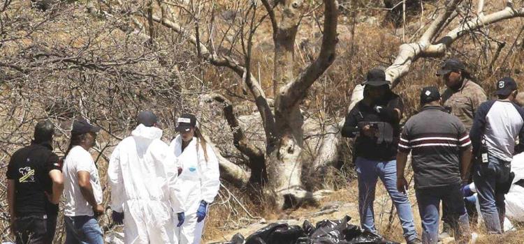 Hallaron 169 bolsas con restos humanos Hallaron 169 bolsas con restos humanos