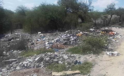 Abundan basureros

