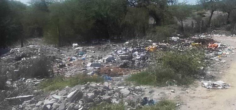 Abundan basureros Abundan basureros