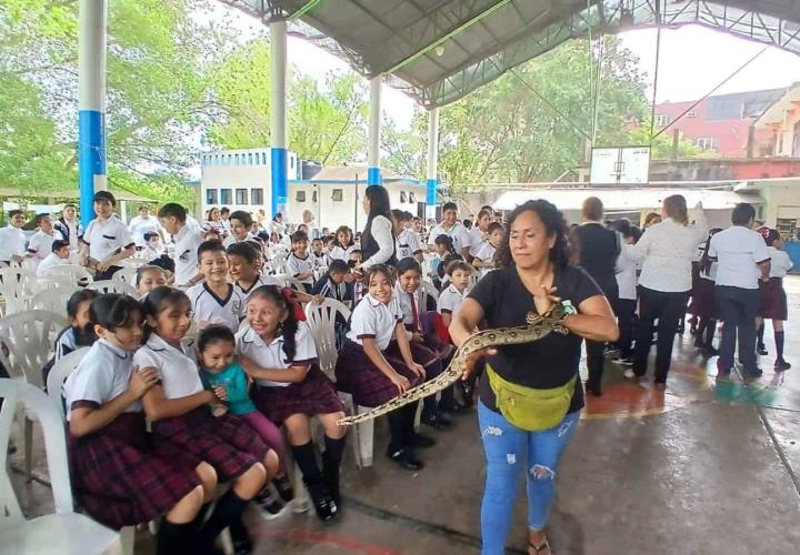 Tamán invita al Foro Animal