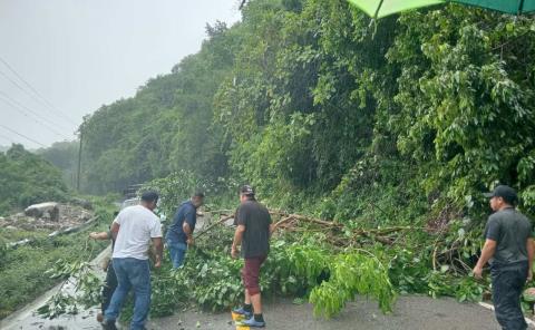 En espera de rehabilitación de tramos afectados por las lluvias
