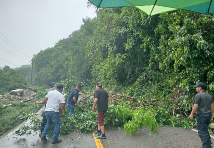 En espera de rehabilitación de tramos afectados por las lluvias