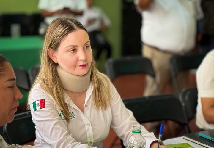 Participó Presidenta en reunión clave por la salud