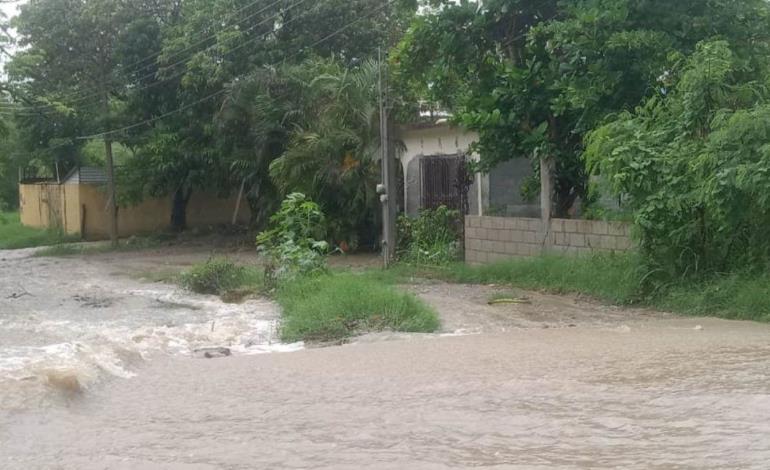 Exigen pavimentación de calles en la ´Curiel´