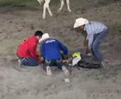 JINETE MURIÓ TRAS AGONIZAR