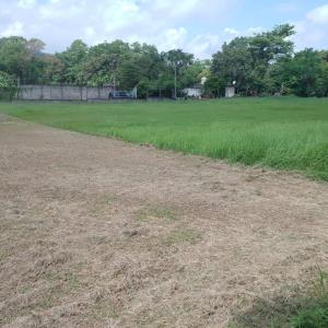 Podan campos deportivos en San Martín Chalchicuautla