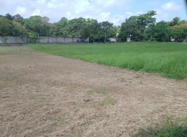 Podan campos deportivos en San Martín Chalchicuautla