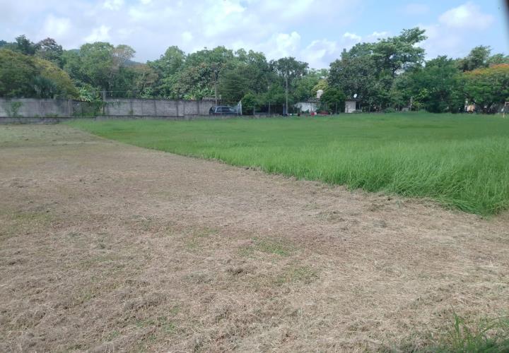 Podan campos deportivos en San Martín Chalchicuautla