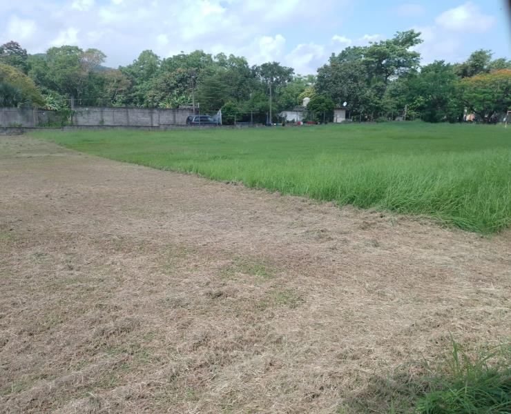 Podan campos deportivos en San Martín Chalchicuautla