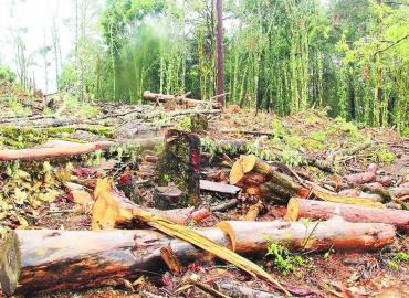 Crisis ambiental en la Huasteca
