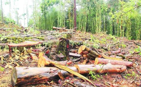 Crisis ambiental en la Huasteca