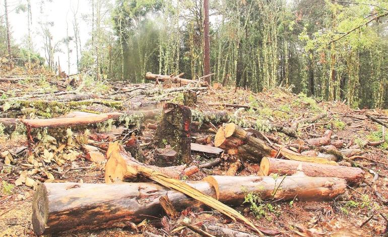 Crisis ambiental en la Huasteca