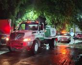 RAYO INCENDIÓ UNA PALMERA