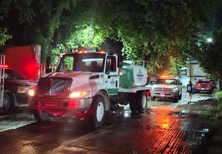 RAYO INCENDIÓ UNA PALMERA