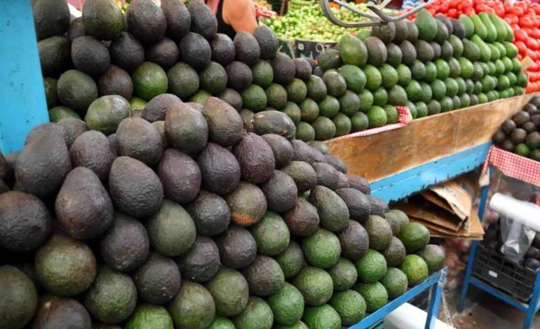 Aguacate en 160 pesos