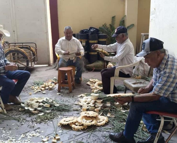 
Se pierde la tradición  De las flores de junco 
