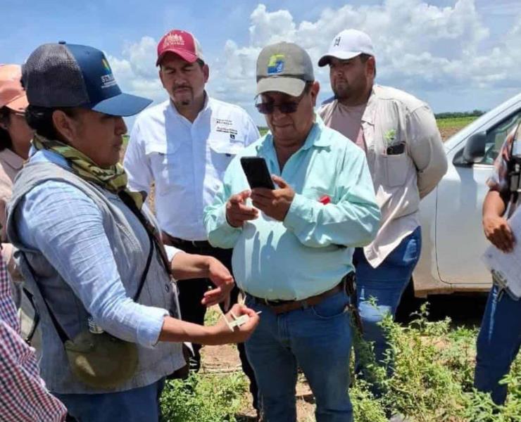 Capacitaron contra la plaga "Langosta"
