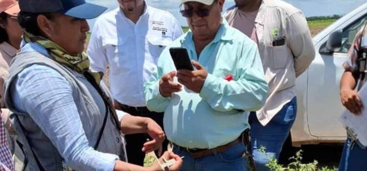 Capacitaron contra la plaga "Langosta" Capacitaron contra la plaga "Langosta"