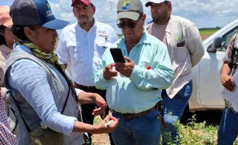 Capacitaron contra la plaga "Langosta"