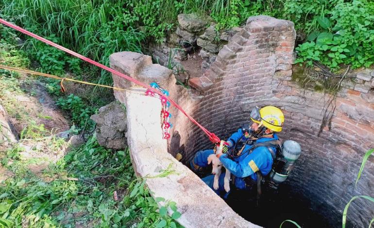 Peligrosas maniobras tras rescate de un can