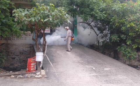 Realizan constantes fumigaciones
