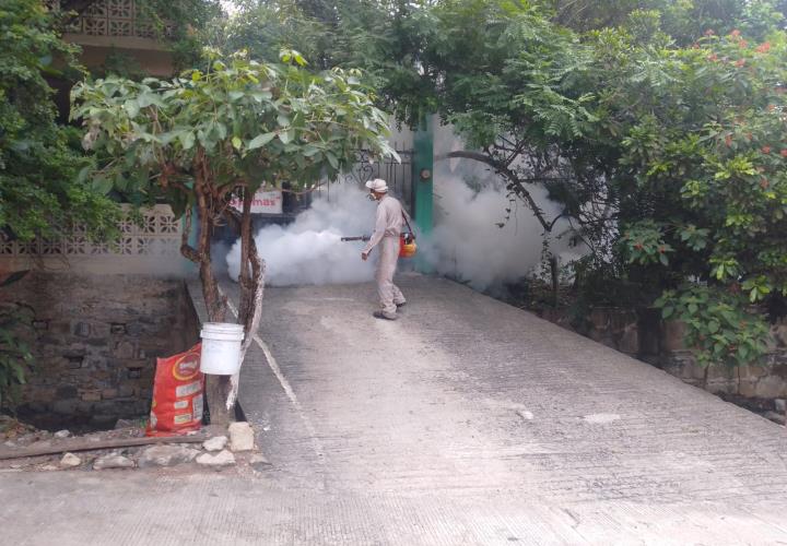 Realizan constantes fumigaciones
