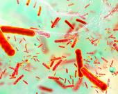 Cuatro muertos por bacteria carnívora