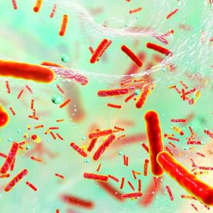 Cuatro muertos por bacteria carnívora