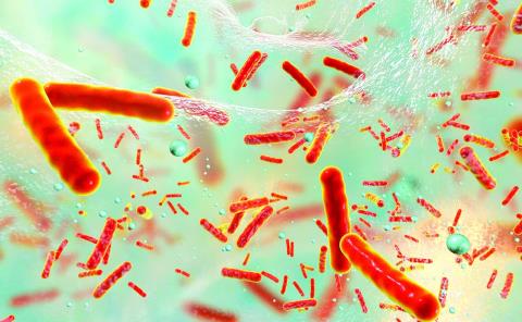 Cuatro muertos por bacteria carnívora