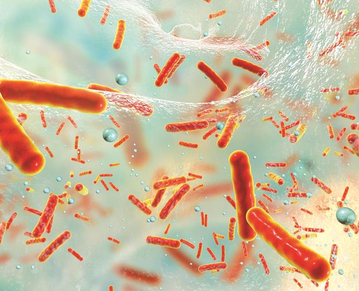 Cuatro muertos por bacteria carnívora