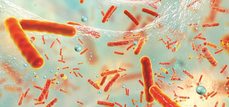 Cuatro muertos por bacteria carnívora