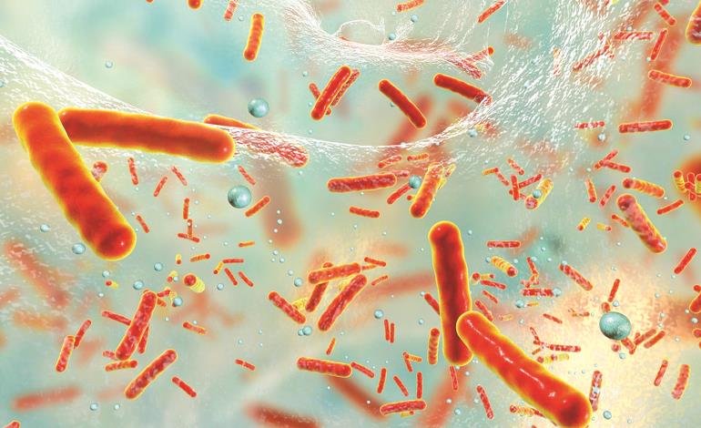 Cuatro muertos por bacteria carnívora
