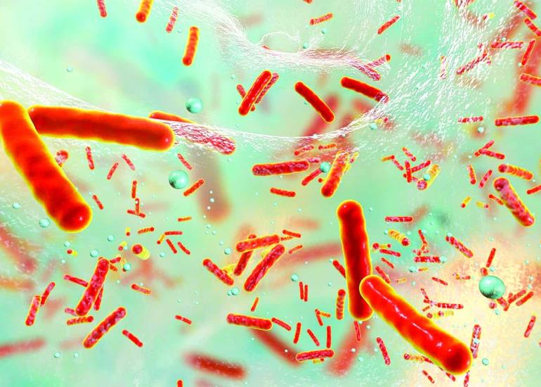 Cuatro muertos por bacteria carnívora
