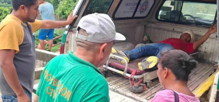 ALBAÑIL CAYÓ DE UNA BARDA ALBAÑIL CAYÓ DE UNA BARDA