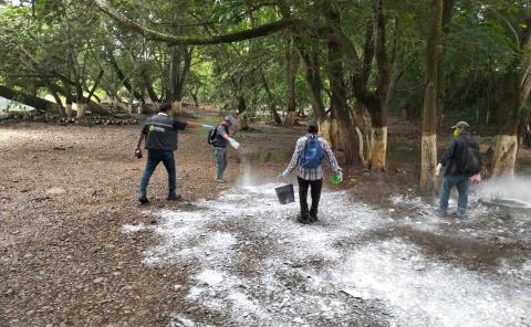 Realiza COEPRIS trabajos de saneamiento en la ribera del río
