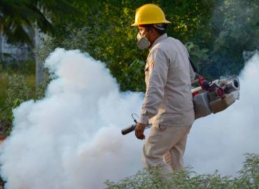 Piden que fumigaciones lleguen a sus localidades