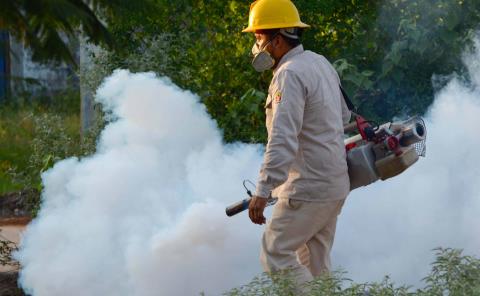 Piden que fumigaciones lleguen a sus localidades
