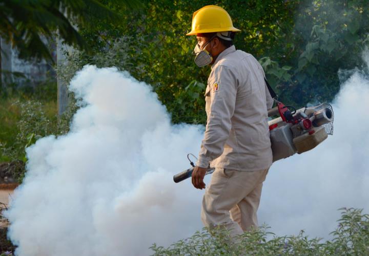 Piden que fumigaciones lleguen a sus localidades