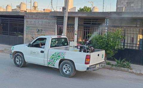 Jurisdicción VI de Tamazunchale realizó nebulización en Tampacán
